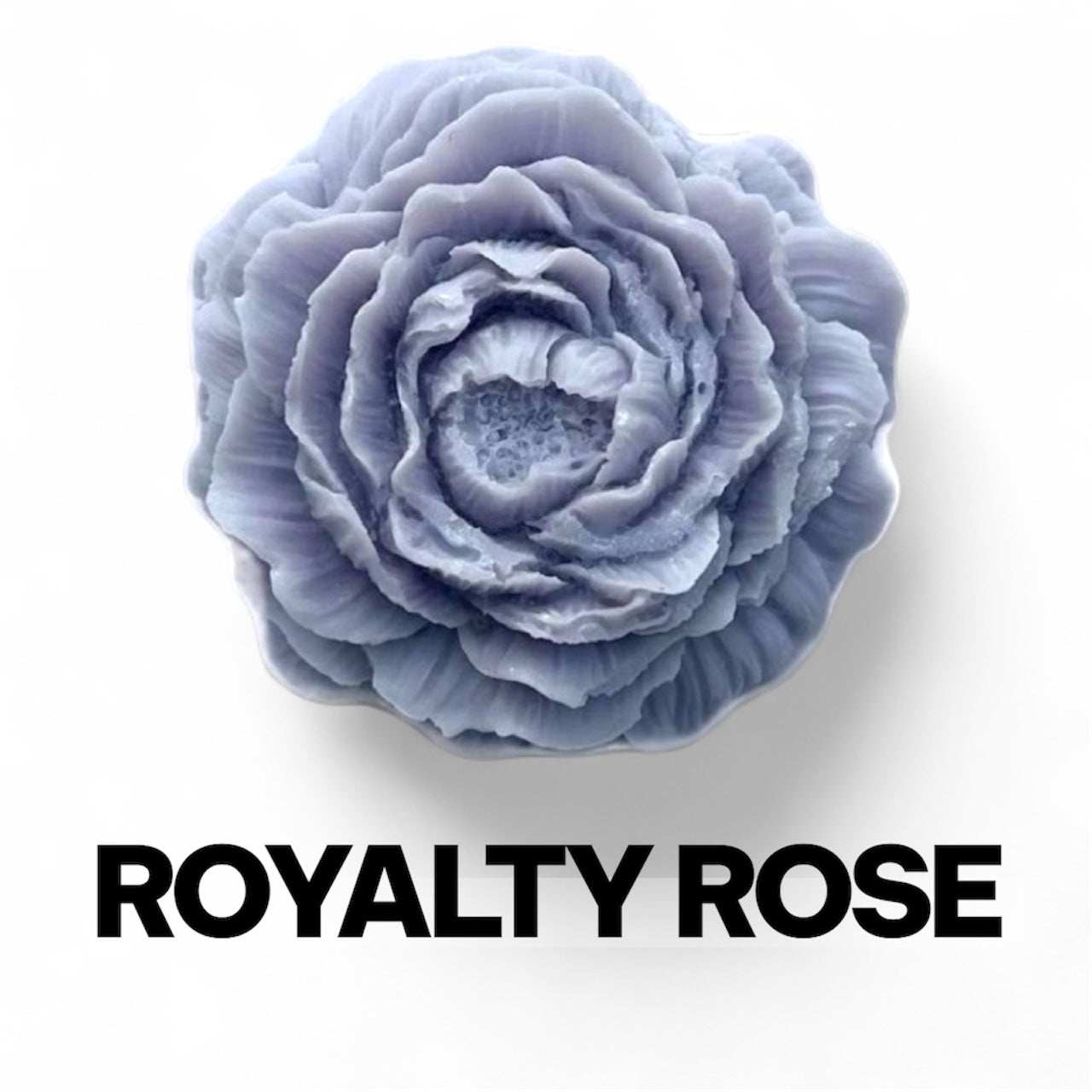 Royalty Rose