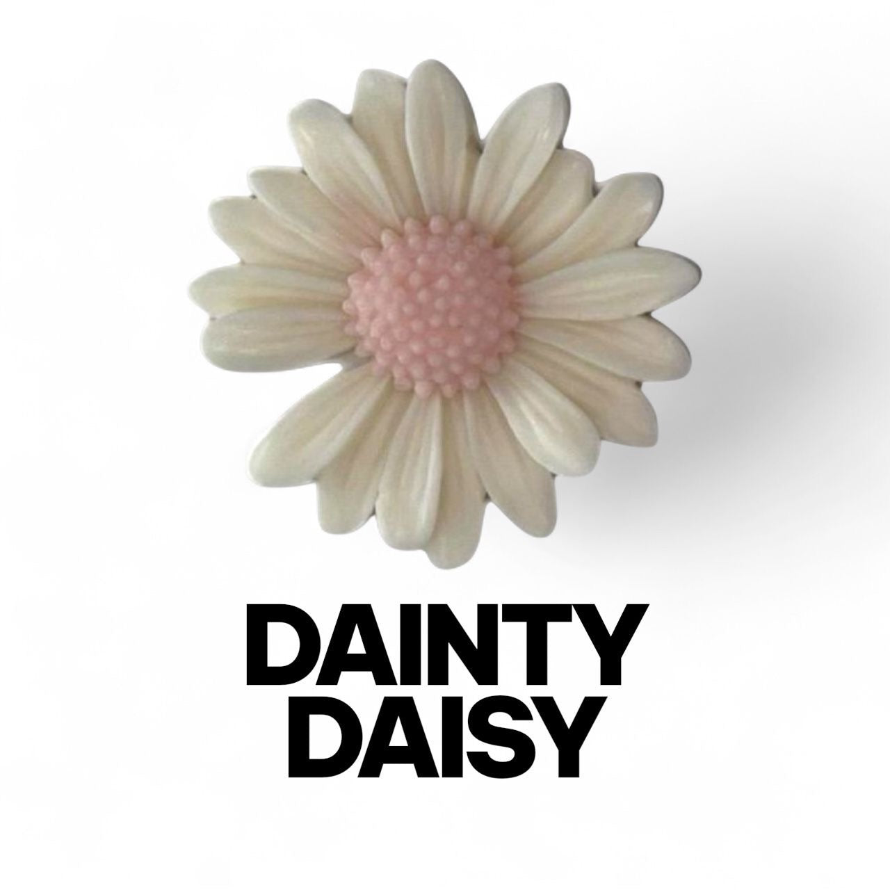 Dainty Daisy