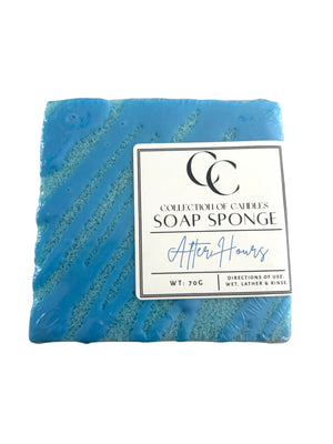 Mini Soap Sponge