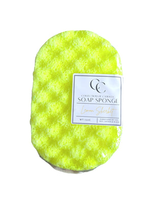 Large Soap Sponge