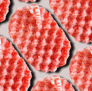 Christmas Soap Sponges 2026