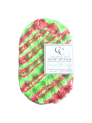 Large Soap Sponge